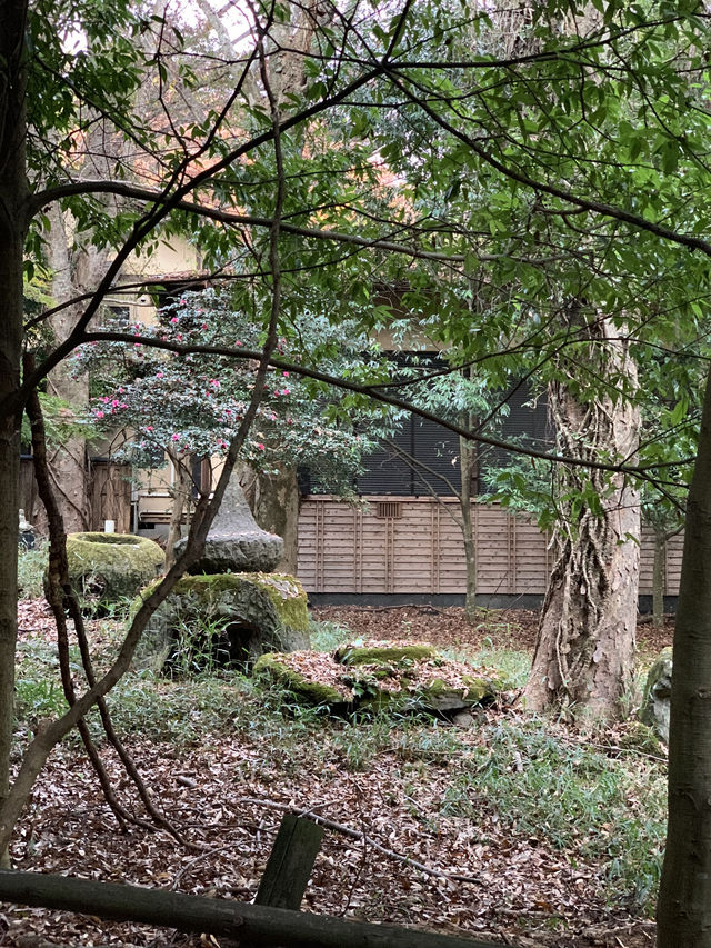 Yufuin at Fukuoka Japan 🍁🍂 Yufuin at Fukuoka Japan 🍁🍂