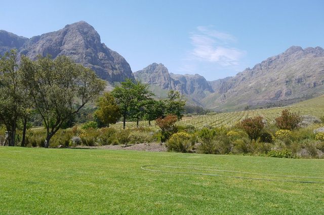 Cape Town: Where Nature Is Elegance 🌍🇿🇦