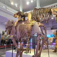 Hisory Museum