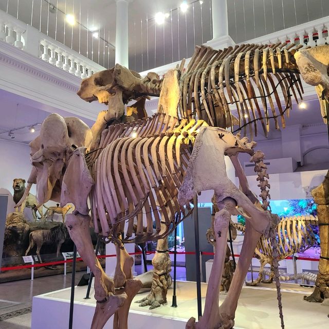 Hisory Museum