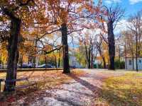 Autumn vibes in Stadtpark Graz 🌺