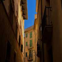 Winter sun in Palma ☀️