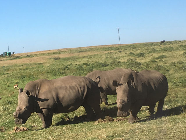 Went to see if Wakanda does exist 🇿🇦