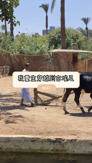 浸沉式體驗古埃及人生活