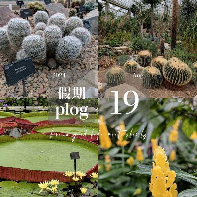 終於懂為什麼邱園要辦年票了