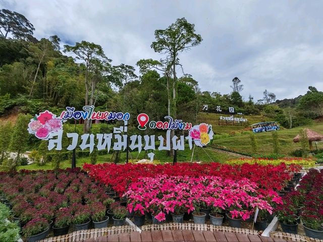 The city of Mist of Thailand 🍃