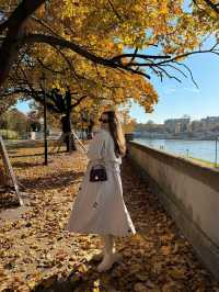크라쿠프의 바벨 성 탐험 🍂