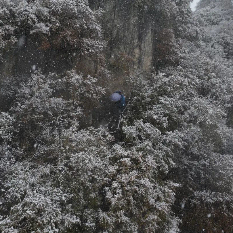 A Winter Wonderland in Xi'an: Exploring the Snow-Covered Qinling