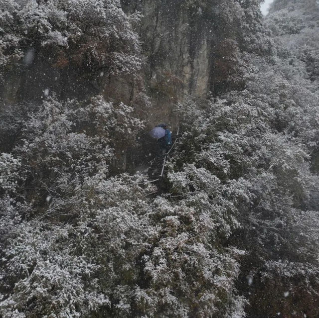 A Winter Wonderland in Xi'an: Exploring the Snow-Covered Qinling Mountains