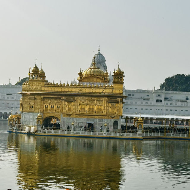 Exploring the Majestic Golden Temple: A Jewel of Amritsar