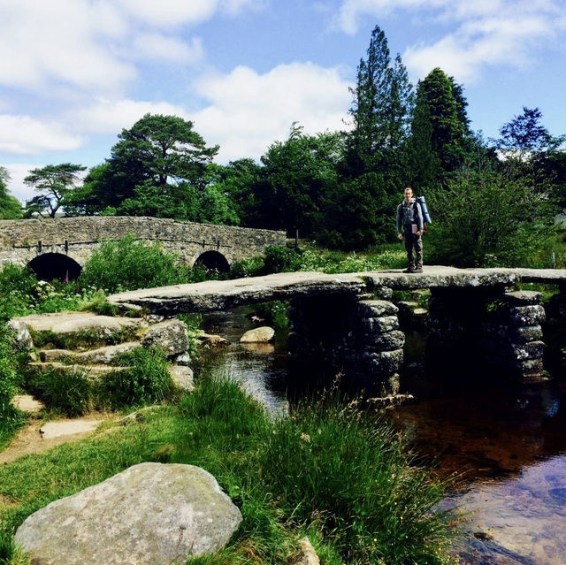 A Walk in the Wild: Dartmoor
