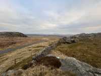 Romantic Moorland 
