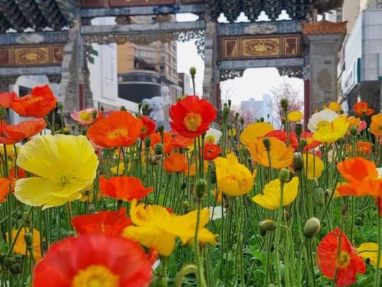 Kunming China 🗺️