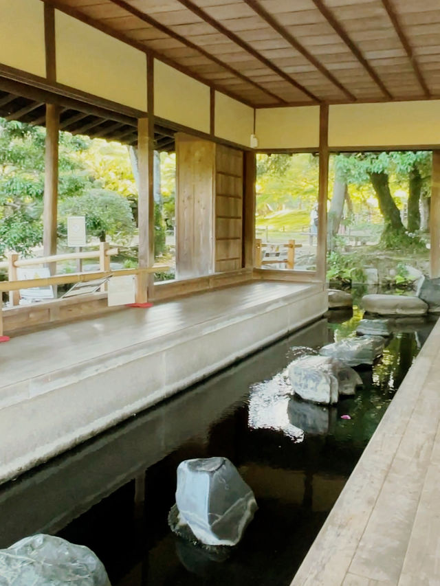知らなかったら損！ 岡山へ行くべき5つの理由🇯🇵✈️🌏 