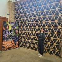 Tuscany Winery experience at Chianti area