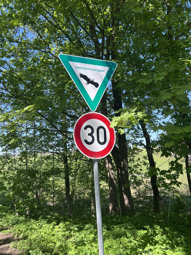 **Egglsee in Ebersberg：湖光森林裡的隱藏版療癒時光**  