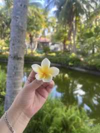 One of the best hotels in Sanya with villas!