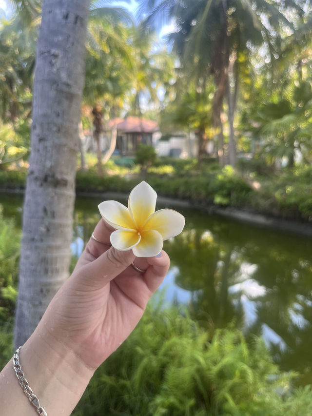 One of the best hotels in Sanya with villas!