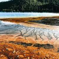 🟡 Yellowstone in a Day: Must-See Wonders of America’s First National Park