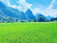 🌿 I Thought I’d Seen Beautiful – Then I Found Yangshuo 🇨🇳