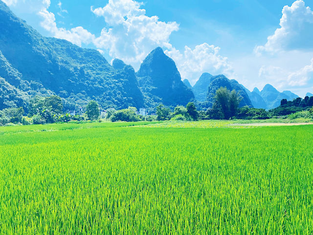 🌿 I Thought I’d Seen Beautiful – Then I Found Yangshuo 🇨🇳