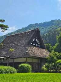 Shirakawa-go: A Timeless Village in the Japanese Alps