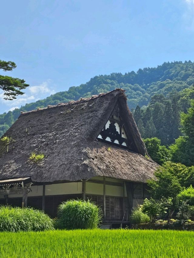 Shirakawa-go: A Timeless Village in the Japanese Alps