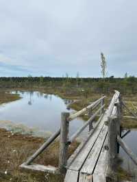 Baltic tornado trip