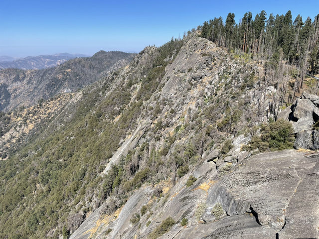 California Dreamin’: 7 Days, 5 National Parks