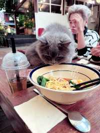 Piece of Japan in Vietnam 🇻🇳 Still cafe