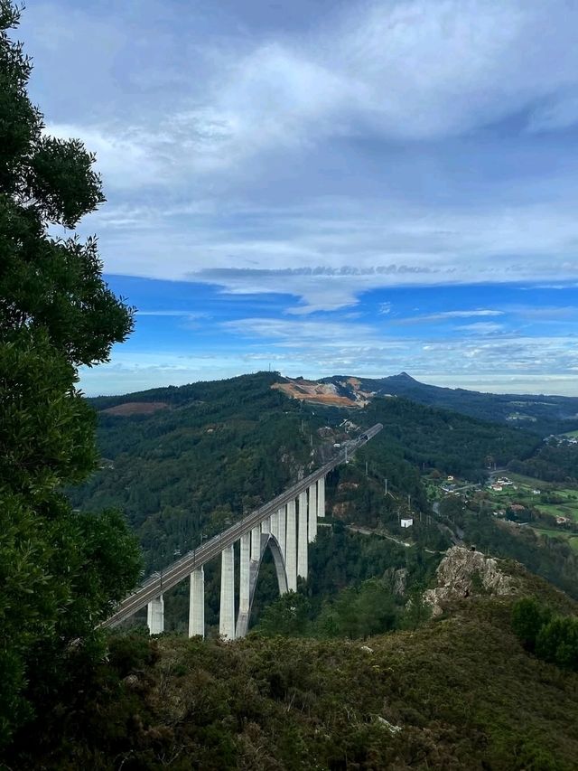🌿 Between Oaks and Granite – A Estrada, Galicia, Spain