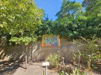 Van Goah's footsteps in Provence, France