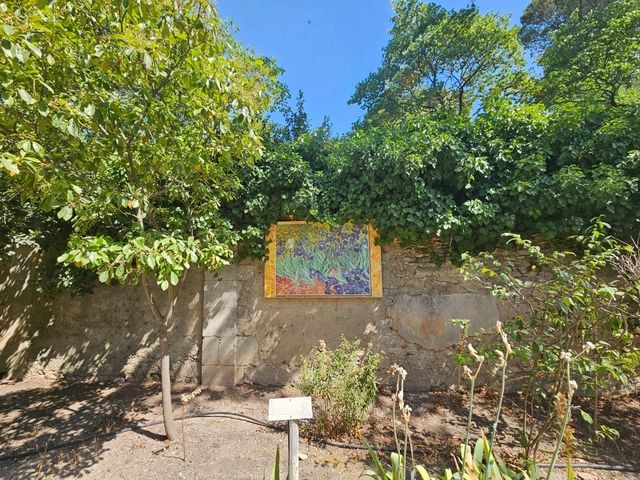 Van Goah's footsteps in Provence, France