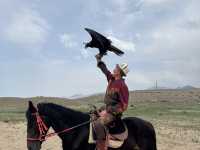 Wild Encounters: A Kyrgyzstan Summer Adventure