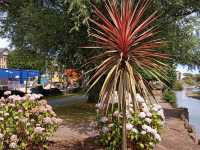 Highlights of my recent visit to Dawlish 
