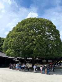 🇯🇵✨ “Tokyo on <$100: Shrines, Skylines & Konbini Eats in 2 Days”