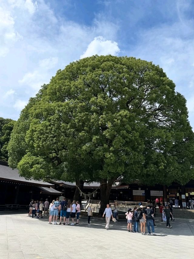 🇯🇵✨ “Tokyo on <$100: Shrines, Skylines & Konbini Eats in 2 Days”