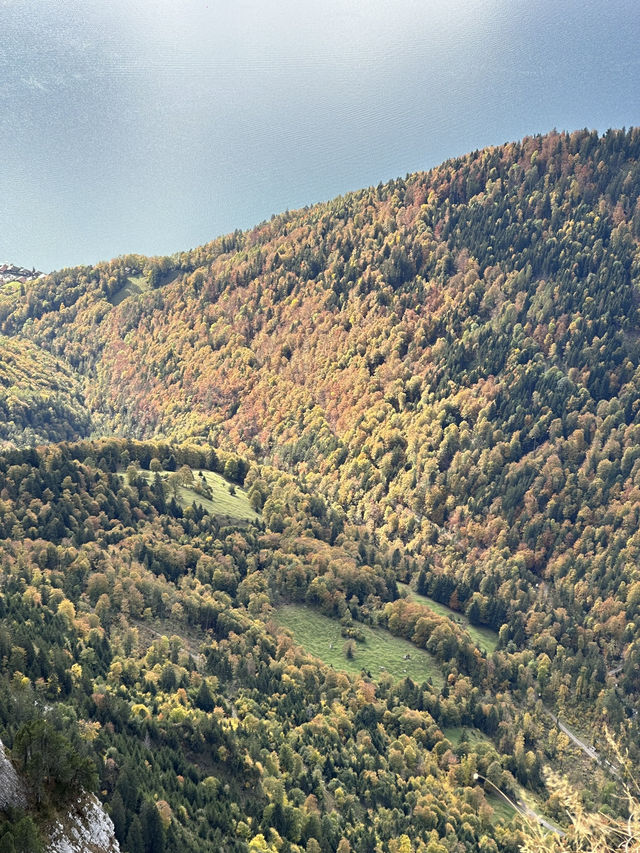 Niederhorn Review: Ready to explore one of the most scenic corners of Switzerland