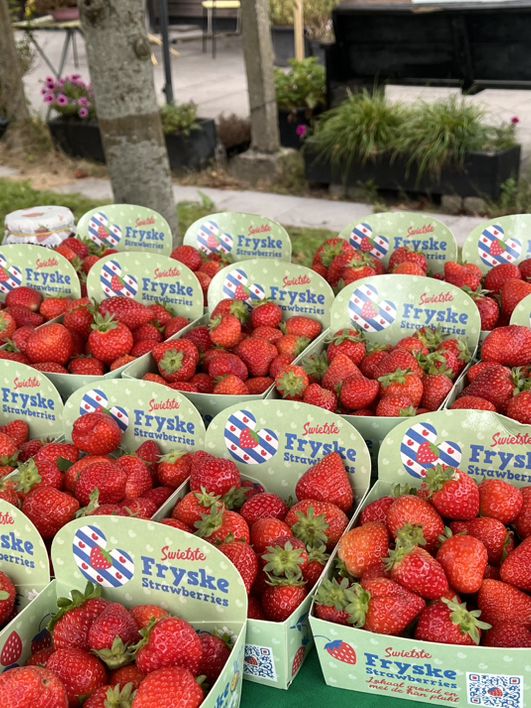 Colorful Life in Fryslân🇳🇱🌺💖