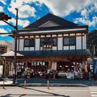 Nikko day-trip from Tokyo