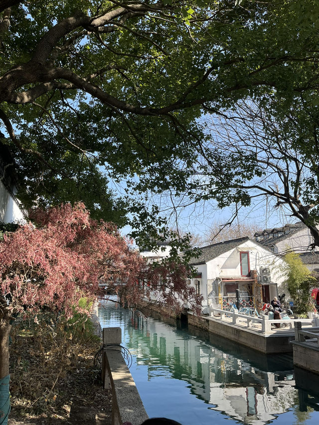 Suzhou in 24 Hours!! ⛲️🏞️🧧A Whirlwind Tour of Canals and Gardens