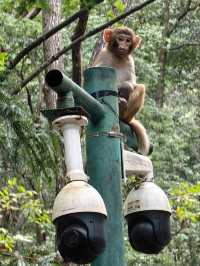 По следам Аватара: 4 дня в Китае