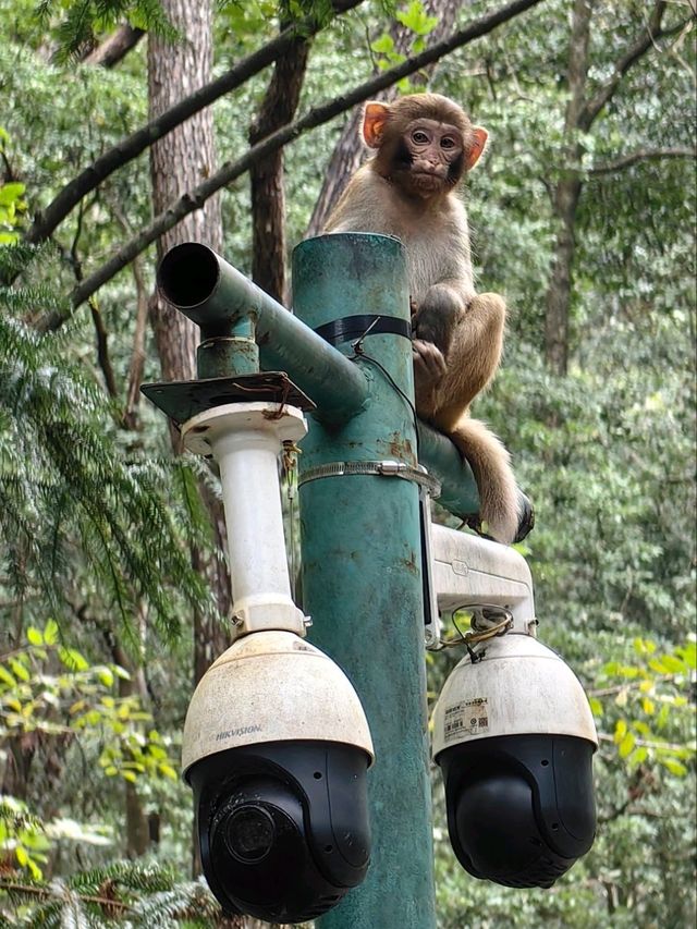 По следам Аватара: 4 дня в Китае