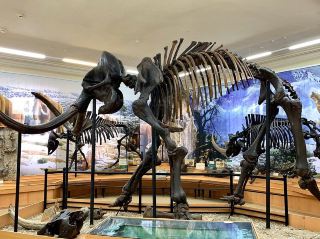 พิพิธภัณฑ์ประวัติศาสตร์ท้องถิ่นประจำภูมิภาคทิวเมน ตั้งชื่อตาม ไอ. ยา. สโลฟต์ซอฟ