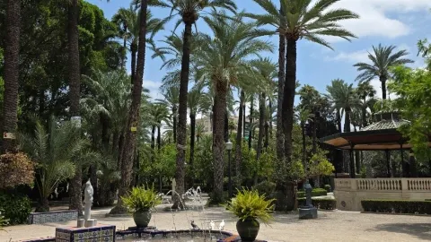 Europe’s Hidden Oasis: Why you need to visit Elche! 🌴✨ — traveler post in Elche