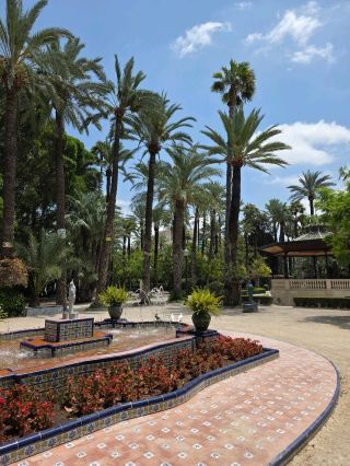 Europe’s Hidden Oasis: Why you need to visit Elche! 🌴✨