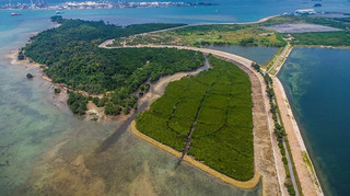 This Island Was Once a Penal Settlement, Then a Coconut Plantation — Now It's Singapore's Most Under