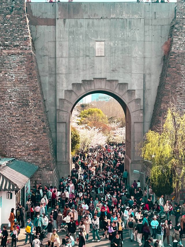 The View from Nanjing Wall