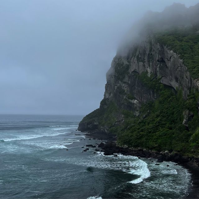 济州岛玩乜嘢？牛島冲啊！