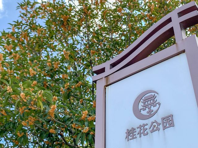 キンモクセイ香る「桂花公園」